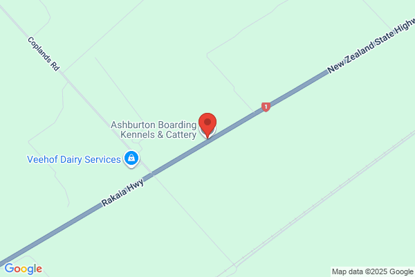 Ashburton Boarding Kennels & Cattery