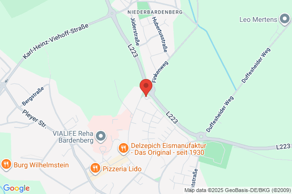 Drive Cars