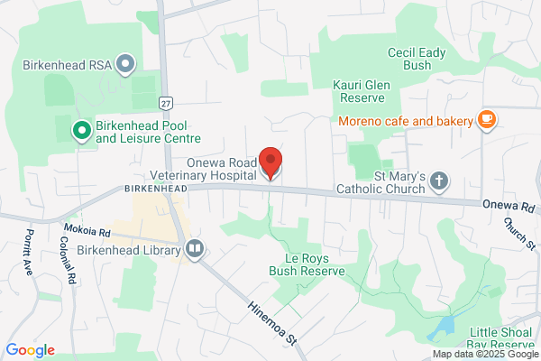 Doctor Bob's Veterinary Clinic
