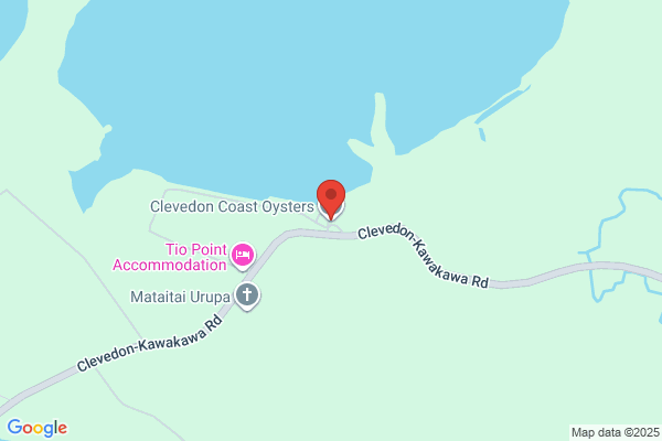 Clevedon Coast Oysters
