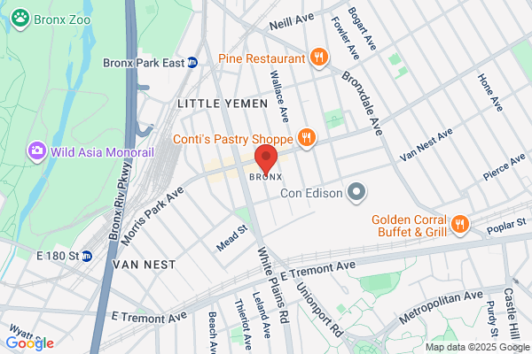 The Bronx