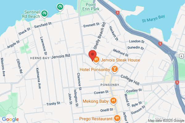 NZ Suzuki Institute Auckland Branch