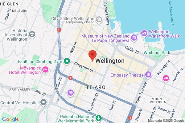Wellington Wing Tsun Kung Fu Club