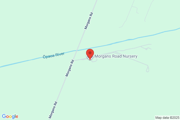 Morgans Road Nursery Ltd