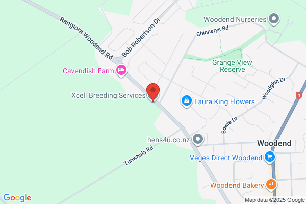 Xcell Breeding Services Ltd