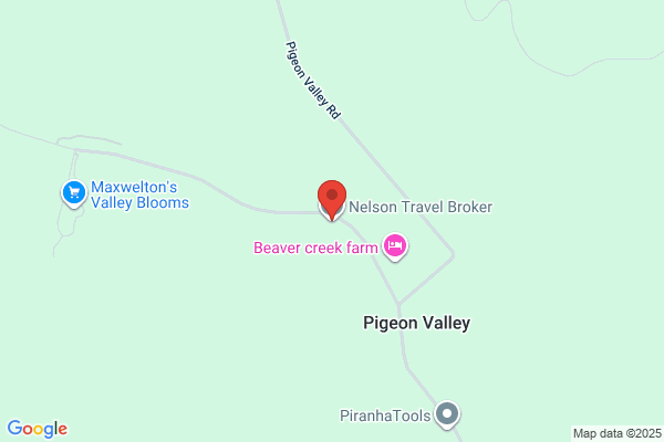 A1 Nelson Tourism Services