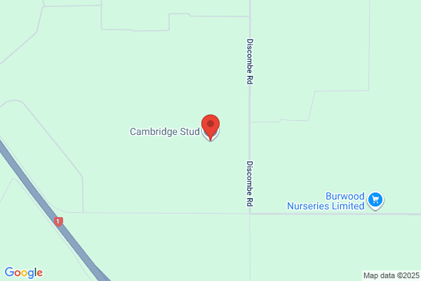 Cambridge Stud