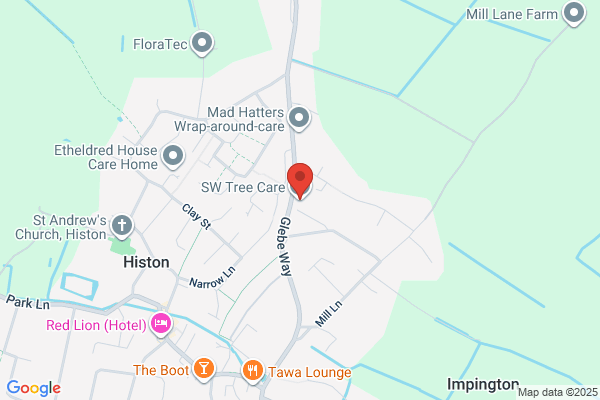 Tree Cutting Services