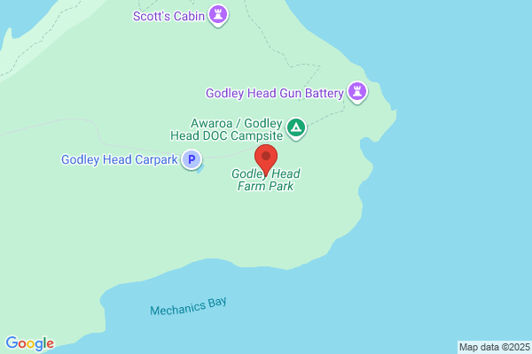 Godley Head Dolphin Company