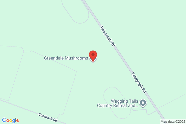 Greendale Organic Farm
