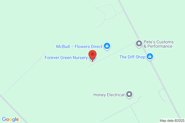 Evergreen Nurseries