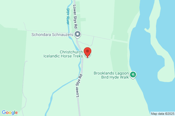Parkgrove Horse Treks
