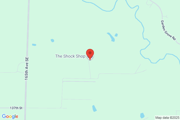 The Shock Shop