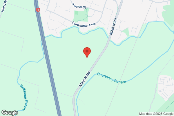 Rangiora Instant Turf