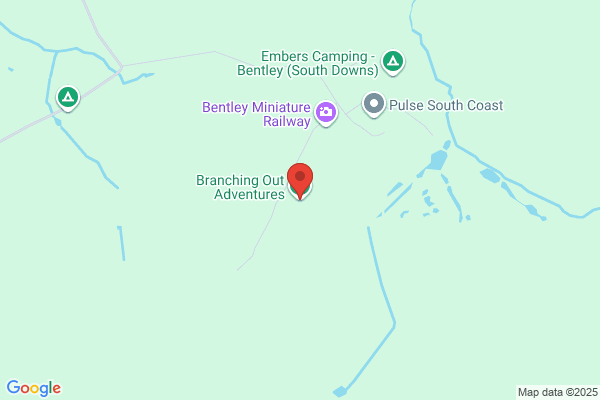 Branching Out