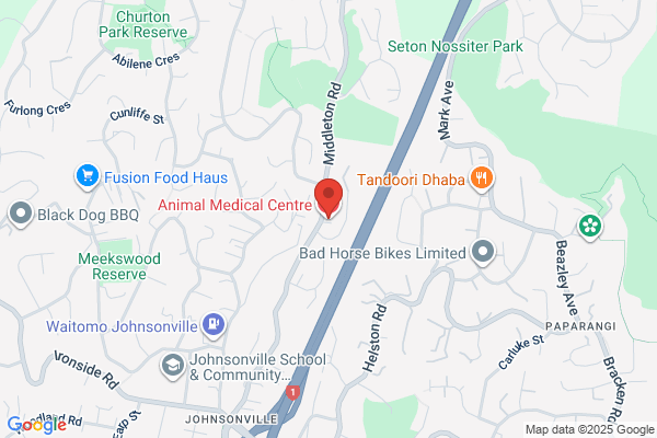Johnsonville Veterinary Centre