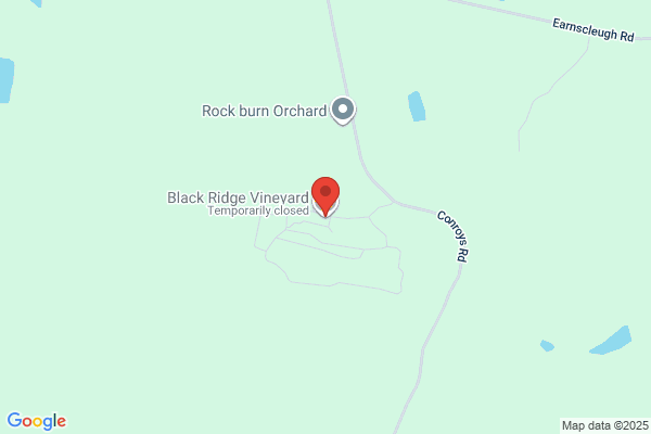 Black Ridge Vineyard