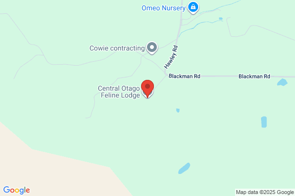 Central Otago Feline Lodge