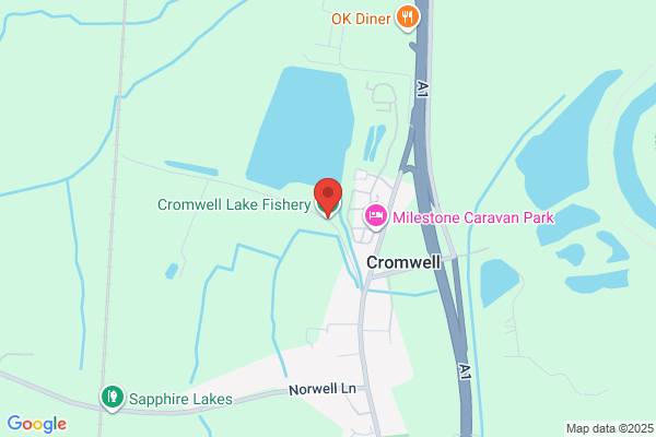 Trout Fishing Services