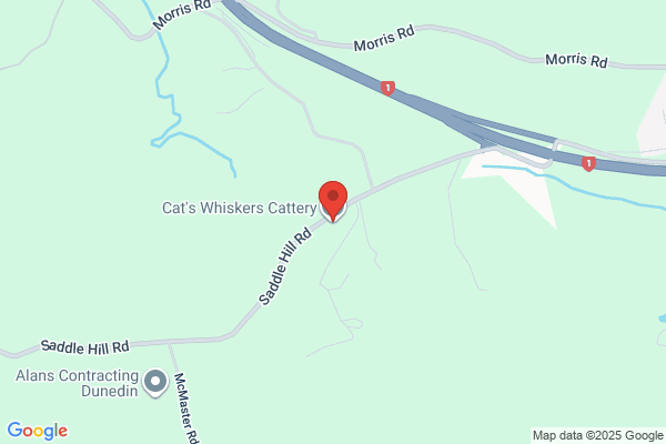 Mosgiel Cat Motel