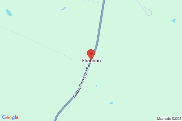 Shannons (Dunedin)