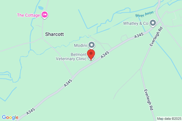 Belmont Veterinary Clinic