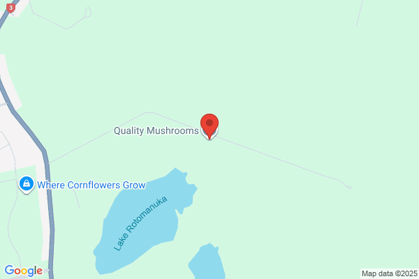 Mushroom Spawn Laboratories (Waikato) Ltd