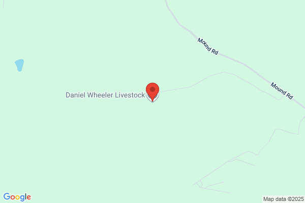 Daniel Wheeler Ltd