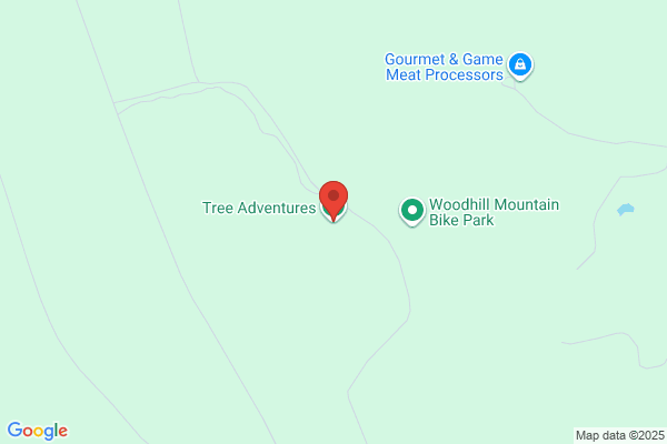Branching Out