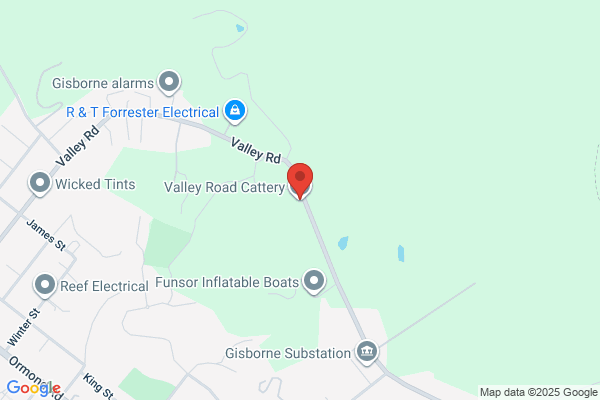 Valley Road Cattery