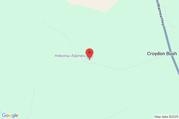 Hokonui Alpines