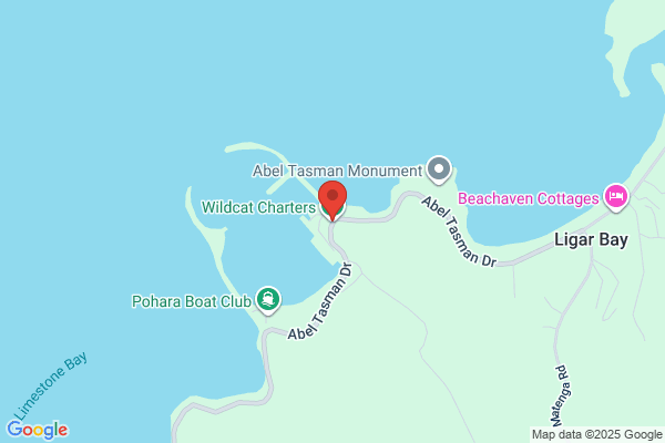Wildcat Fishing Charters