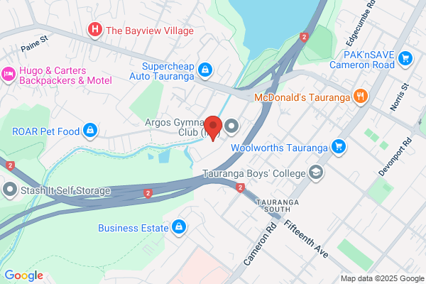 Seat Belt Shop Tauranga