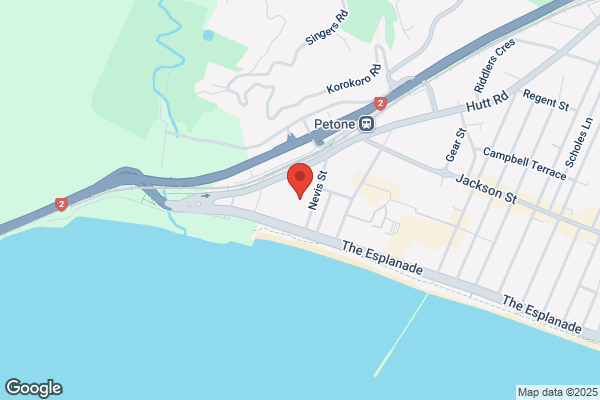 Bunnings Warehouse Petone