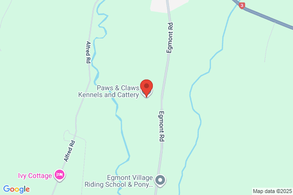 Egmont Canine Centre & Cat Resort
