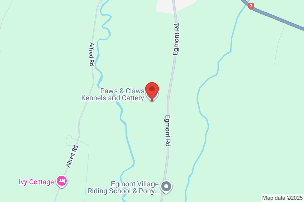 Egmont Pet Funeral Services
