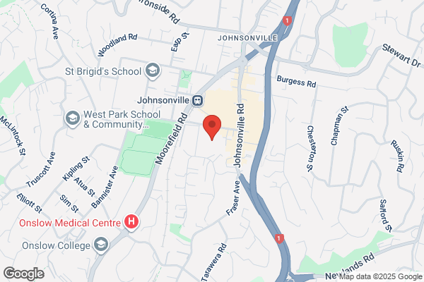 Johnsonville Veterinary Centre