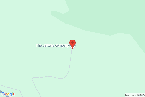The Cartune Company