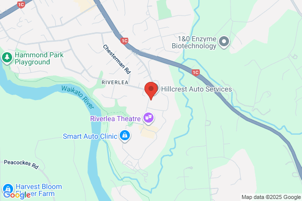 Auto Marine Trimming World