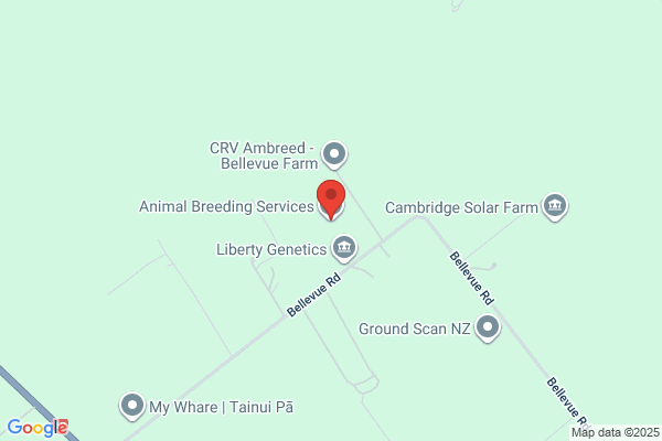 Animal Breeding Services