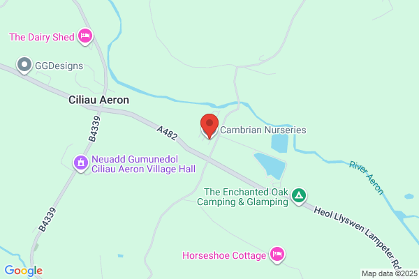 Cambrian Nurseries