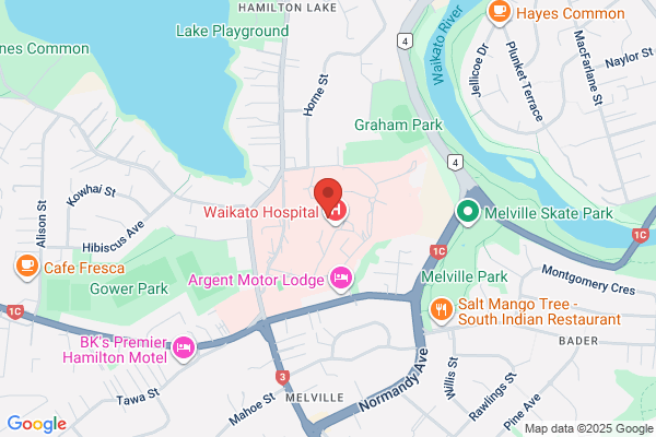 Womens Division Health Waikato Ltd