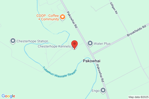 Chesterhope Kennels