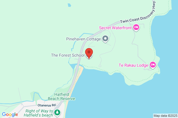 The Forest School