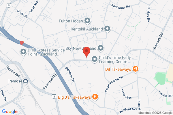 Diesel Engine Specialists