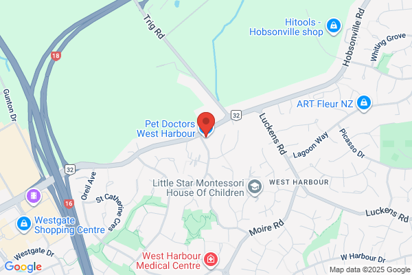 West Harbour Veterinary Clinic