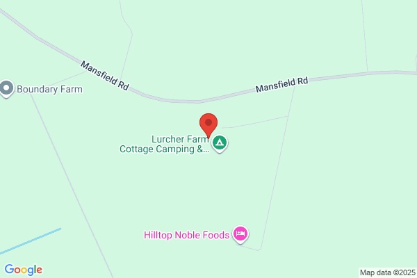 Mainland Tree Care Limited