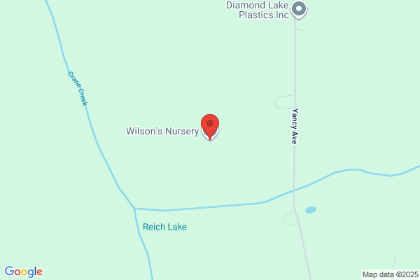 Wilsons Citrus Nursery Ltd