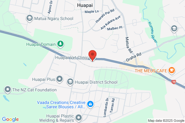 Huapai Vet Clinic