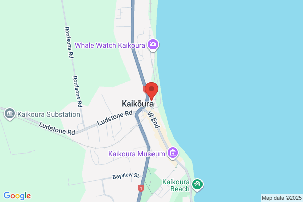 Kaikoura Surf
